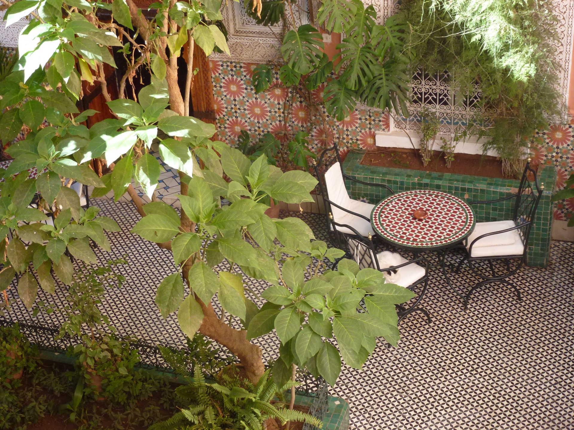 Hotel gallia patio